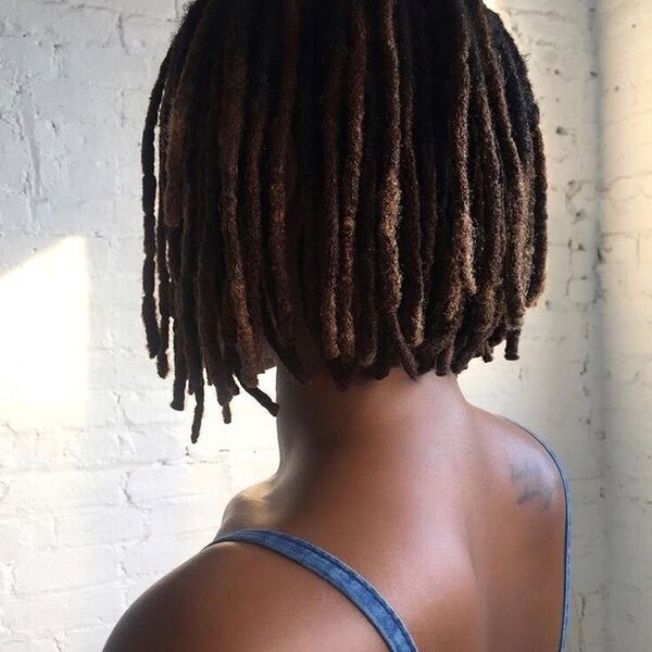 Starting Your Locs  