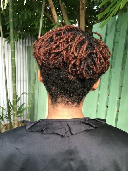 Starting Your Locs  